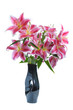 pink lily