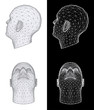 Human head. Vector Illustration
