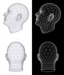 Human head. Vector Illustration