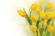 Tulip Flowers Border