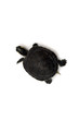 one baby turtle standing in one hand