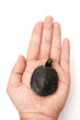 One Baby turtle standing in one hand