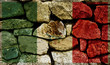 Mexican Flag