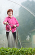 woman watering  Seedling