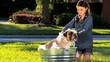 Young Girl Bathing Family Bulldog Young Girl Bathing Family Bulldog
