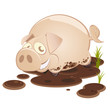 schwein cartoon lustig dreck