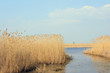 Lake a spring