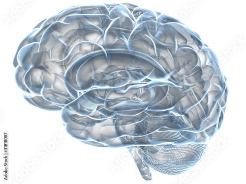 Illustration: xray human brain xray human brain
