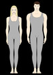 male and female bodies