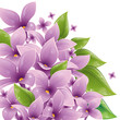 Floral design with lilac Floral design with lilac