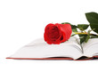 Beautiful red rose on the book