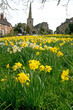 Photo: spring at astbury spring at astbury