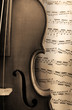 violino