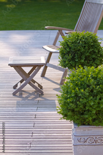 Photo : La terrasse et les buis La terrasse et les buis