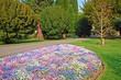 Beautiful park with 3 colour flowers
