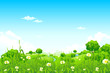 Green Landscape with trees