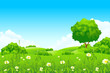 Green landscape Green landscape
