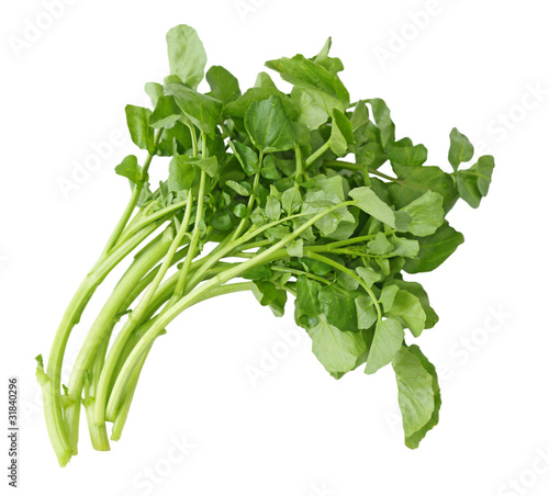 Photo: Watercress Watercress