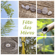 Fête des mères, composition zen