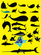 oceanfish