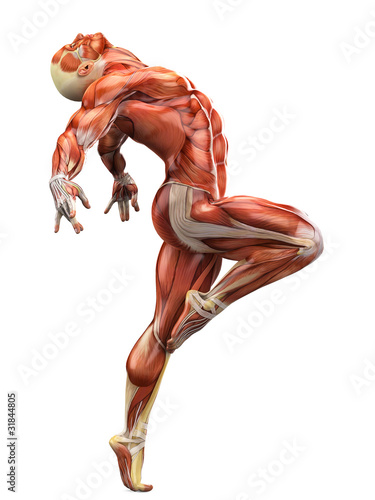 Illustration: muscle man side ballet view muscle man side ballet view