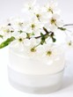 Photo: Natural cosmetics Natural cosmetics
