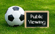 Public Viewing - Fußball - Soccer - Concept