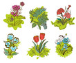 set of flowers