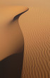 Sahara Desert