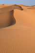 Sahara Desert