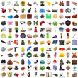 bazaar collage