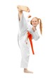 Martial  arts girl