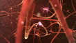 Neuron network Neuron network