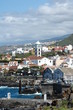 Canaries Canaries
