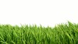 grass_green save