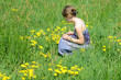 Blumenwiese