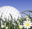 Golf ball on the grass