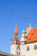 Pigeons flying over roofs of Munich Pigeons flying over roofs of Munich