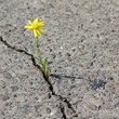 gebrochene Strassendecke