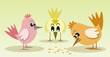 Vektor: Vector birds Vector birds