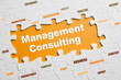 Management Consulting
