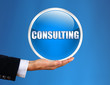 Consulting