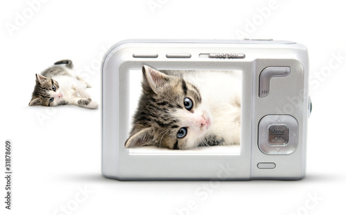 Photo: Kitty in a photo shoot Kitty in a photo shoot
