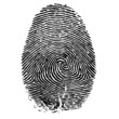 Fingerabdruck