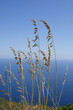 pantelleria panorama orizzonte