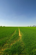 Landwirtschaft