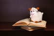 Sheep toy sits on stack of books.