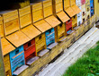 bienenstand