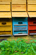 bienenstand