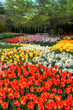 Botanical Garden Botanical Garden